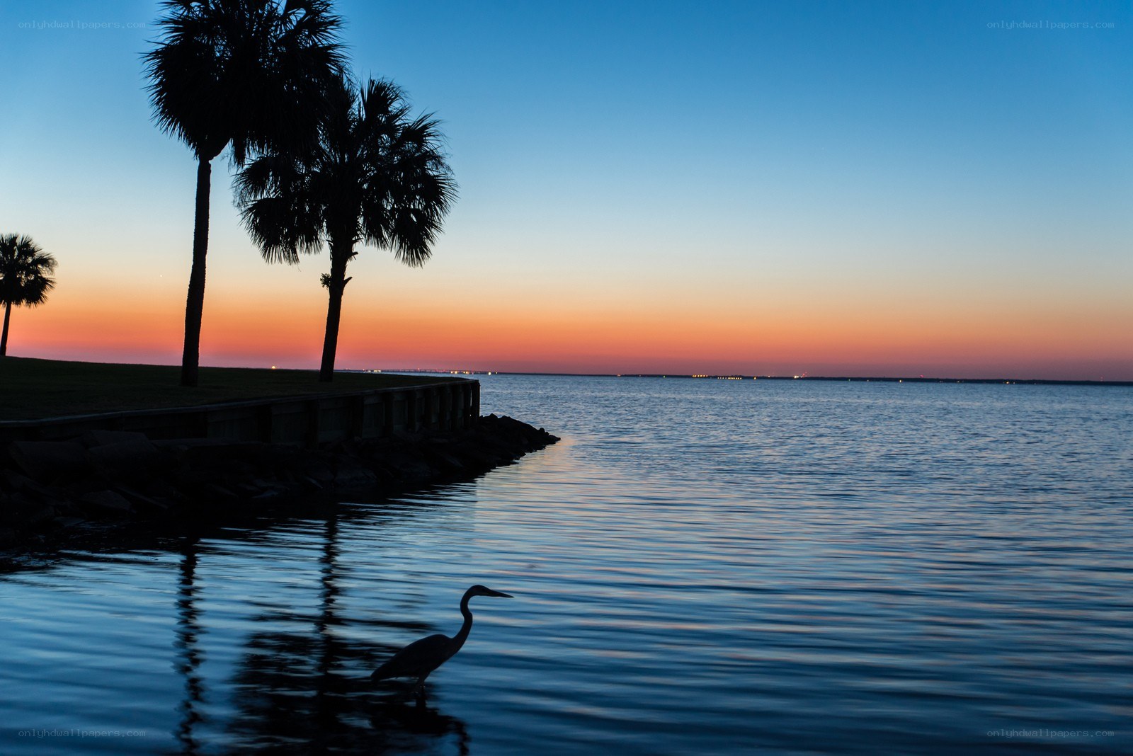 Sunset by the water with a heron