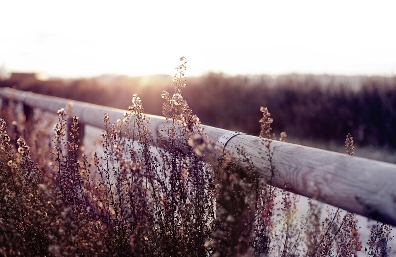Sunset by the wooden railing