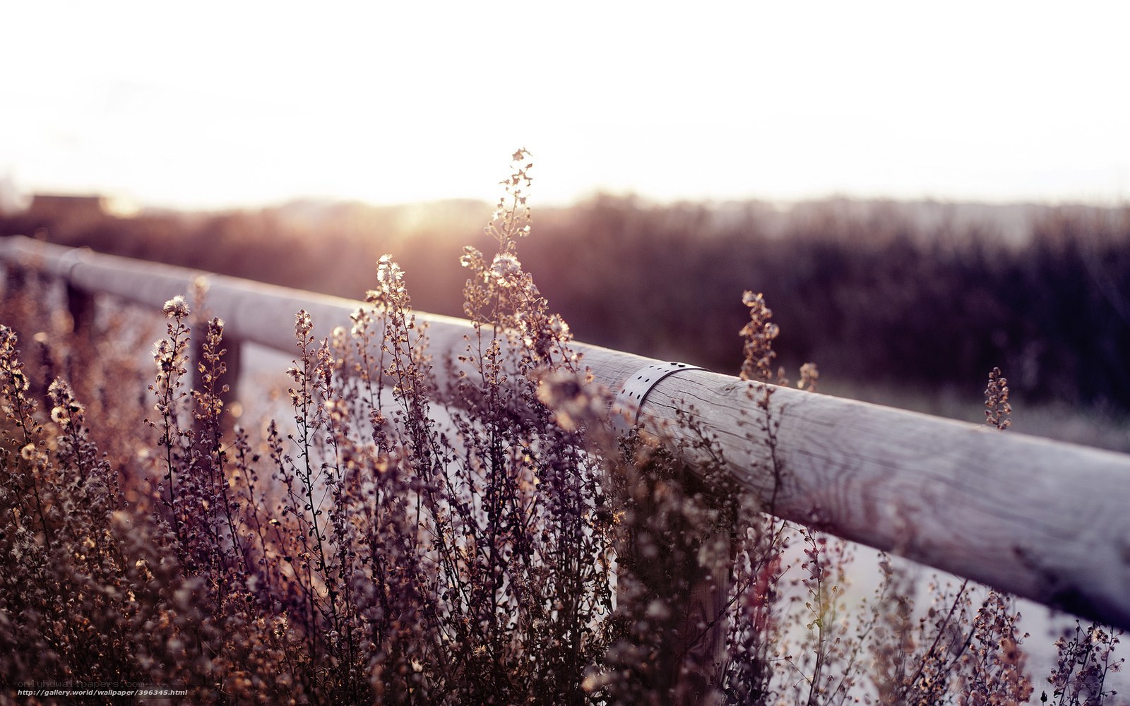 Sunset by the wooden railing