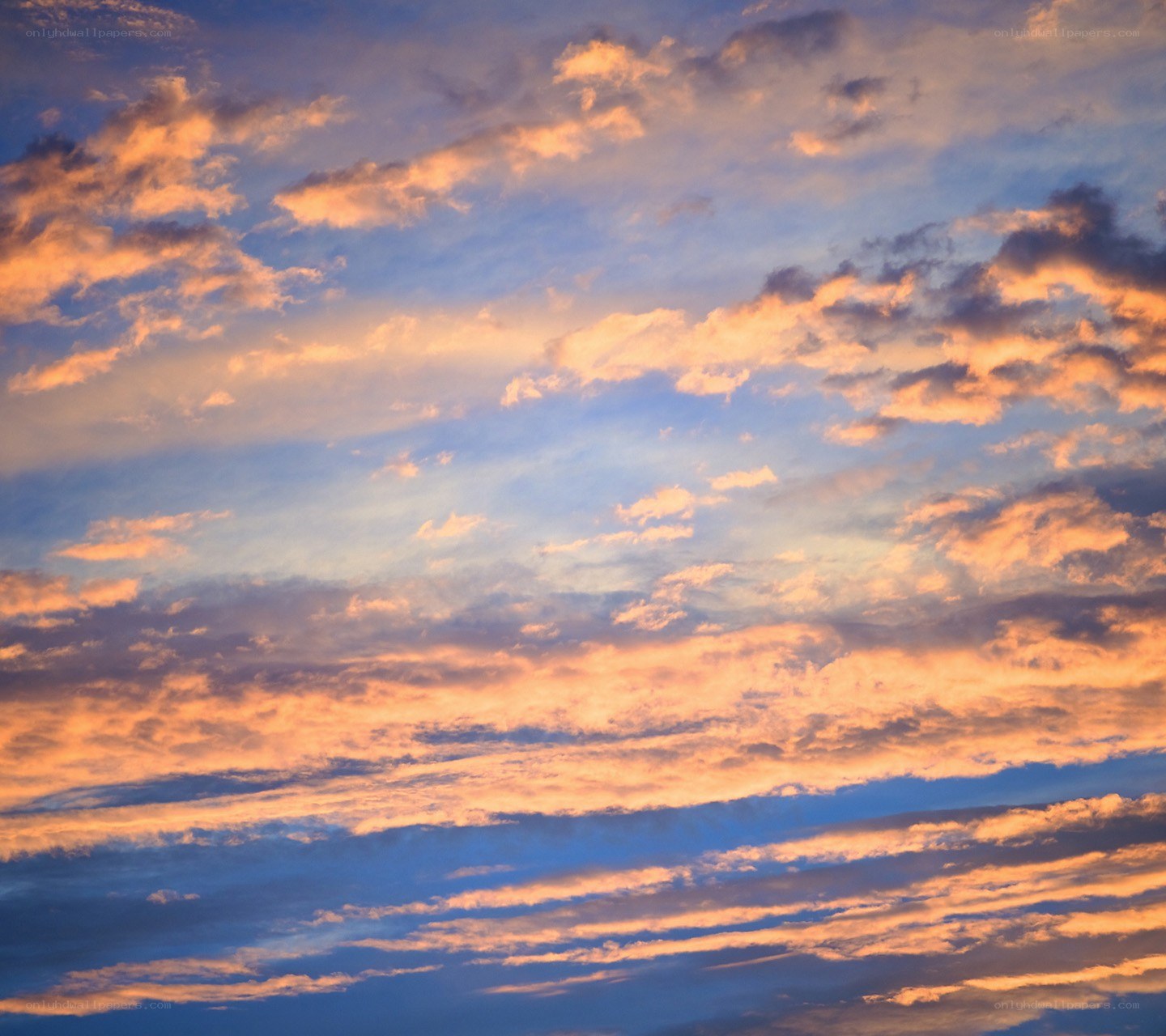 Sunset clouds in the sky