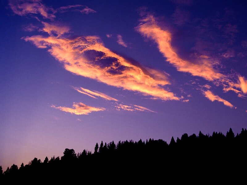 Sunset clouds over forest