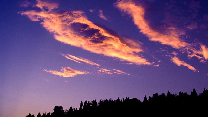 Sunset clouds over forest