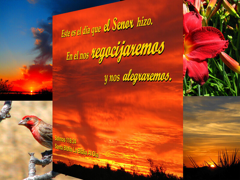 Sunset Collage with Bird