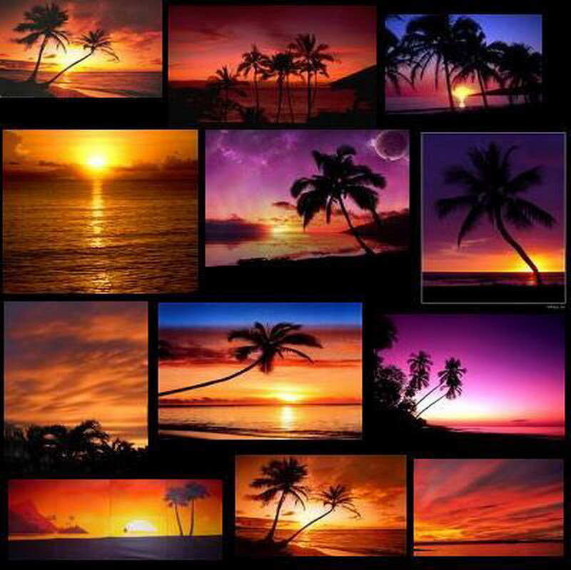 sunset collage with palm trees