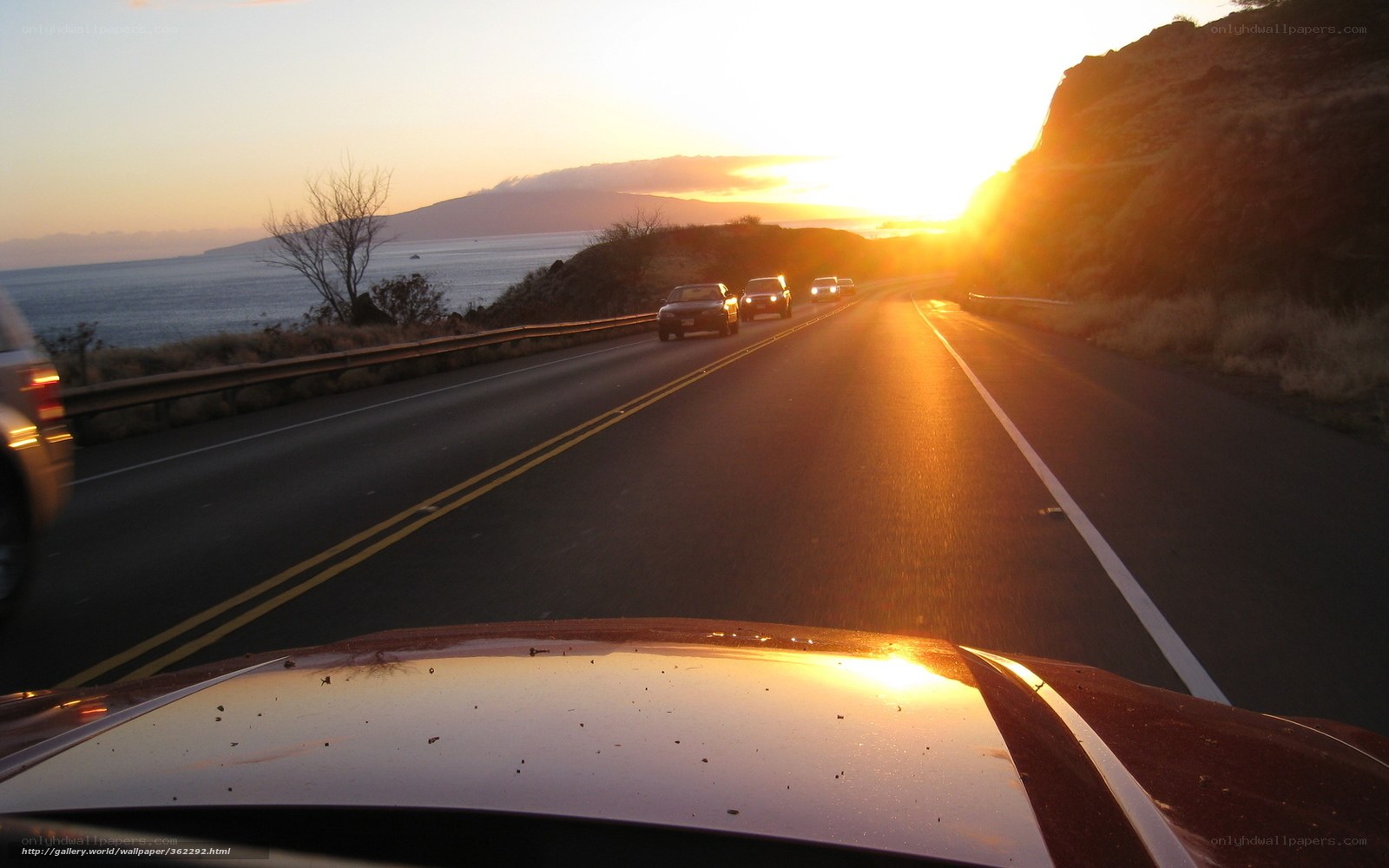 Sunset drive on coastal road