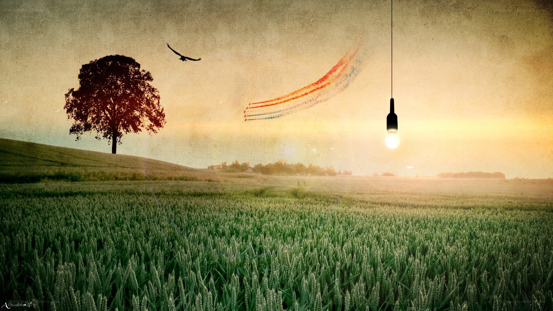 sunset field with light bulb