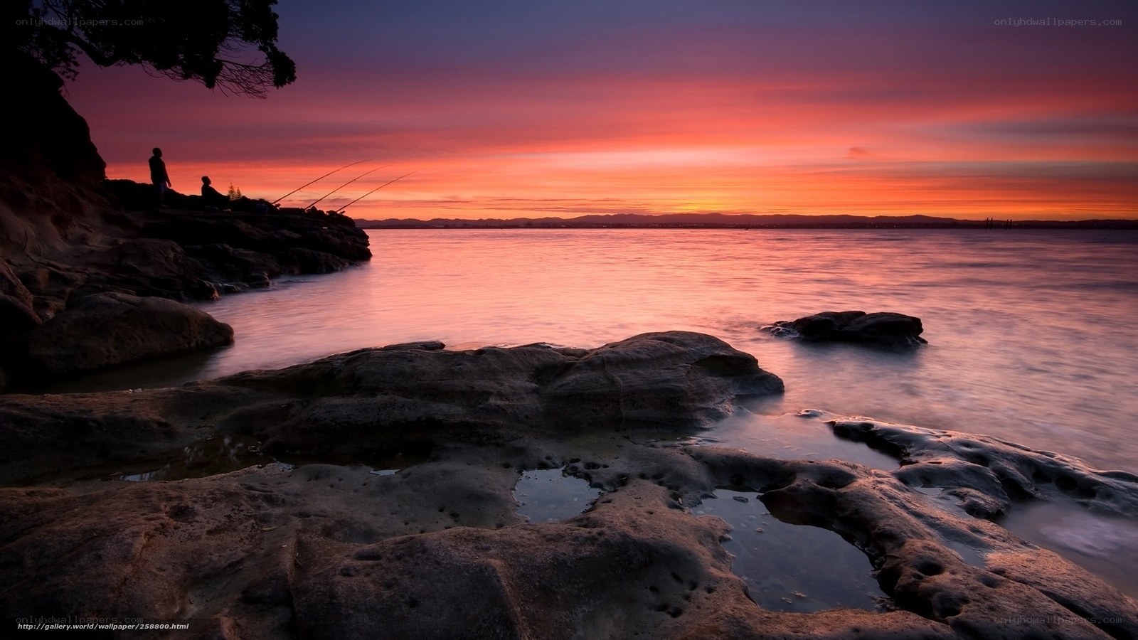 Sunset fishing on rocky shore