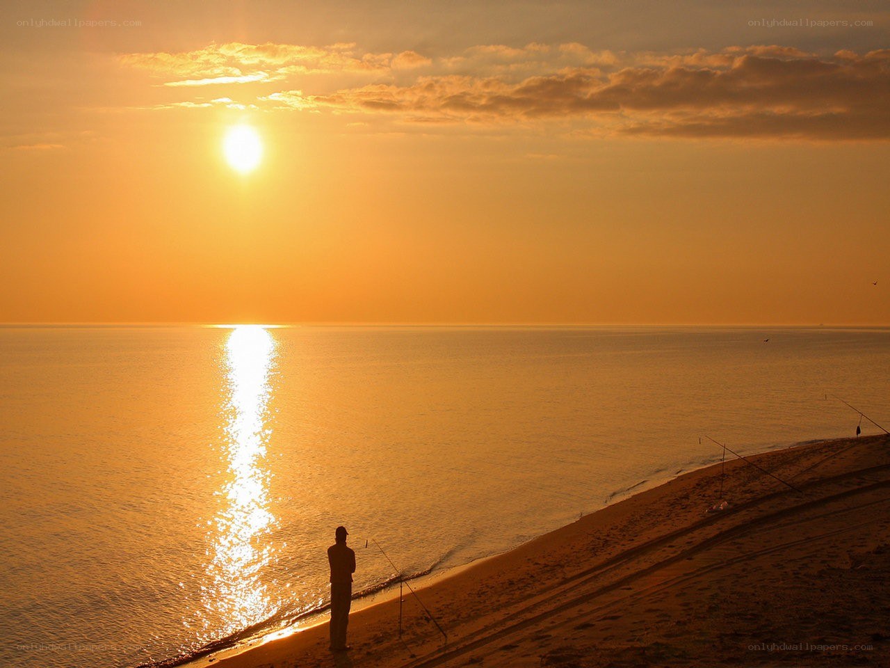 Sunset fishing silhouette