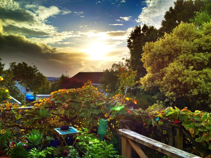 Sunset garden view