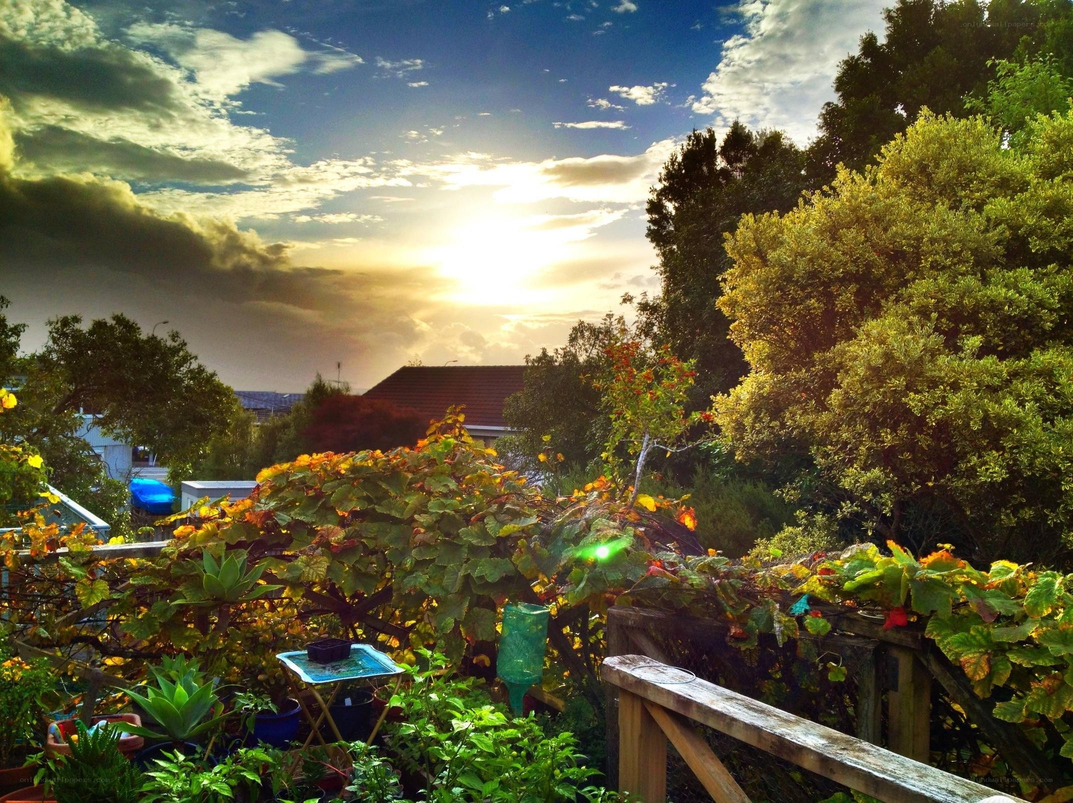 Sunset garden view