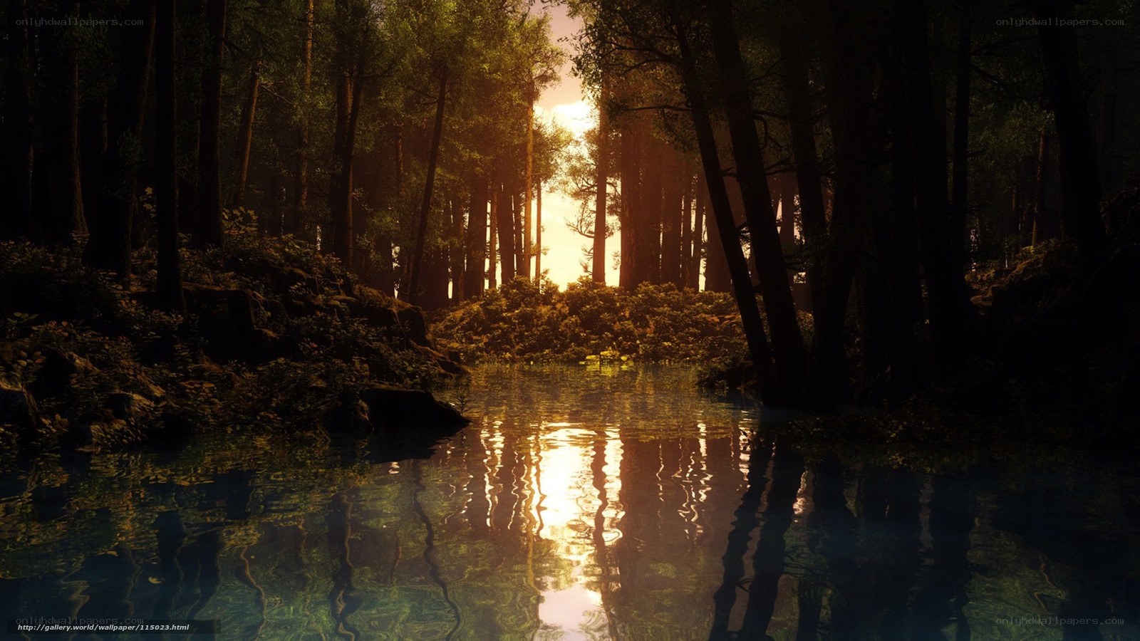 Sunset in a forest pond