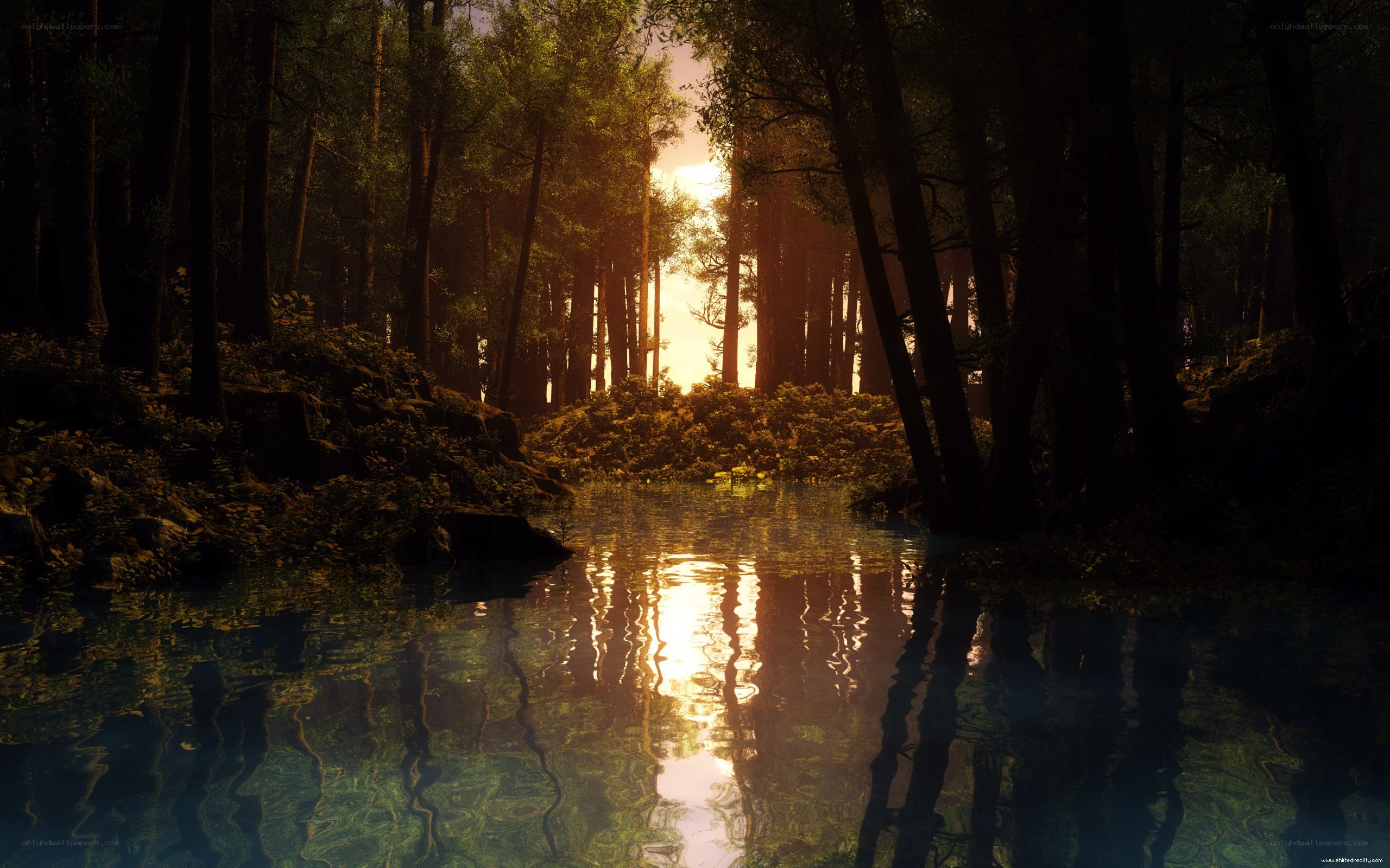 Sunset in a forest river