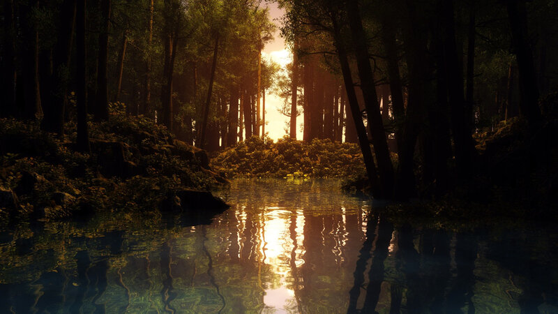 Sunset in a forest stream