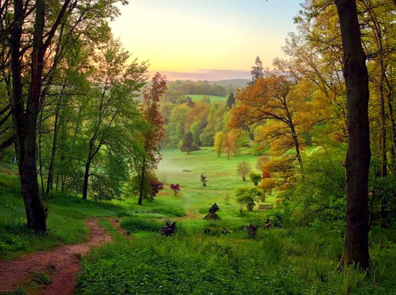 Sunset in a forest valley