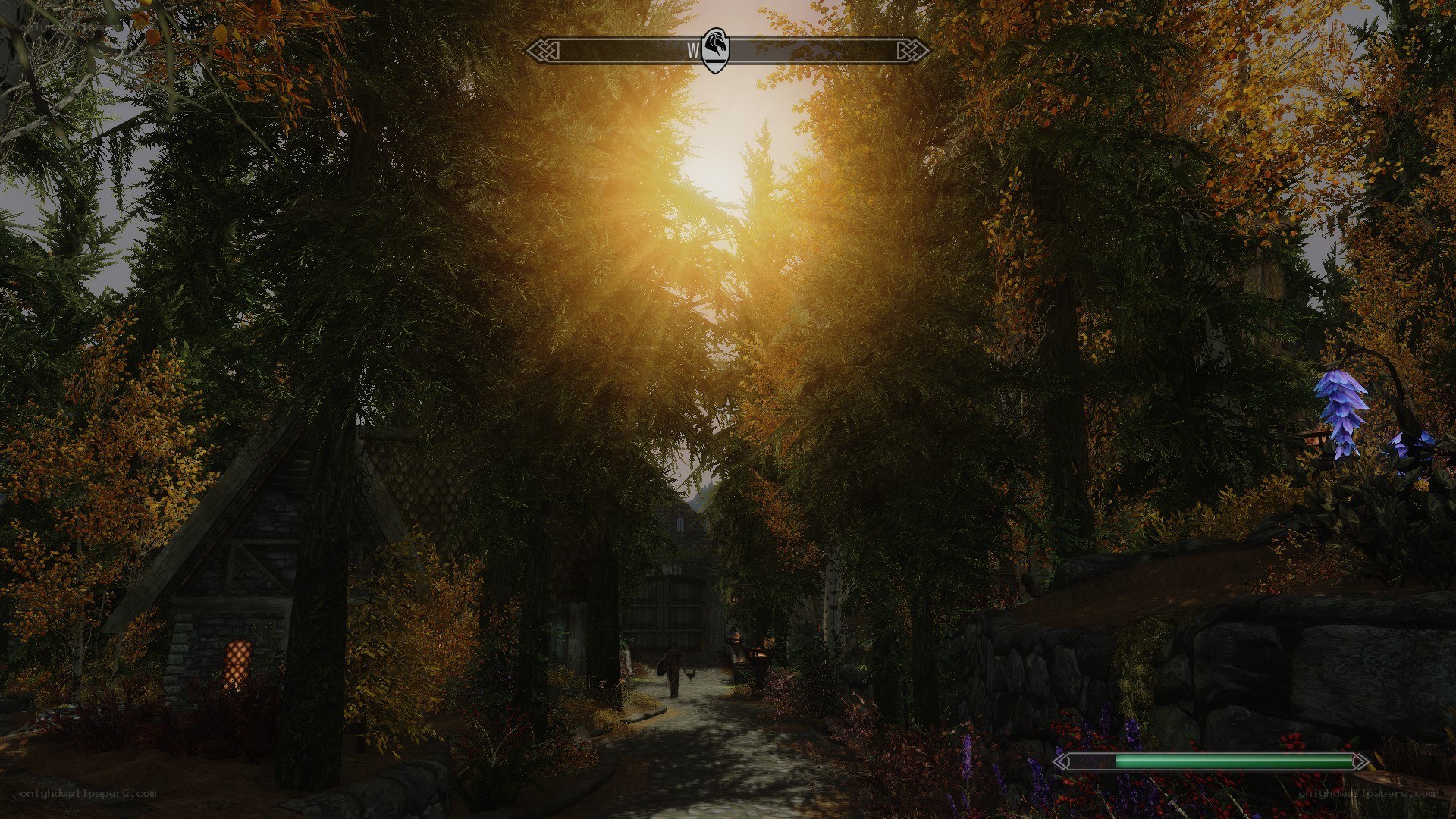 sunset in a forest village