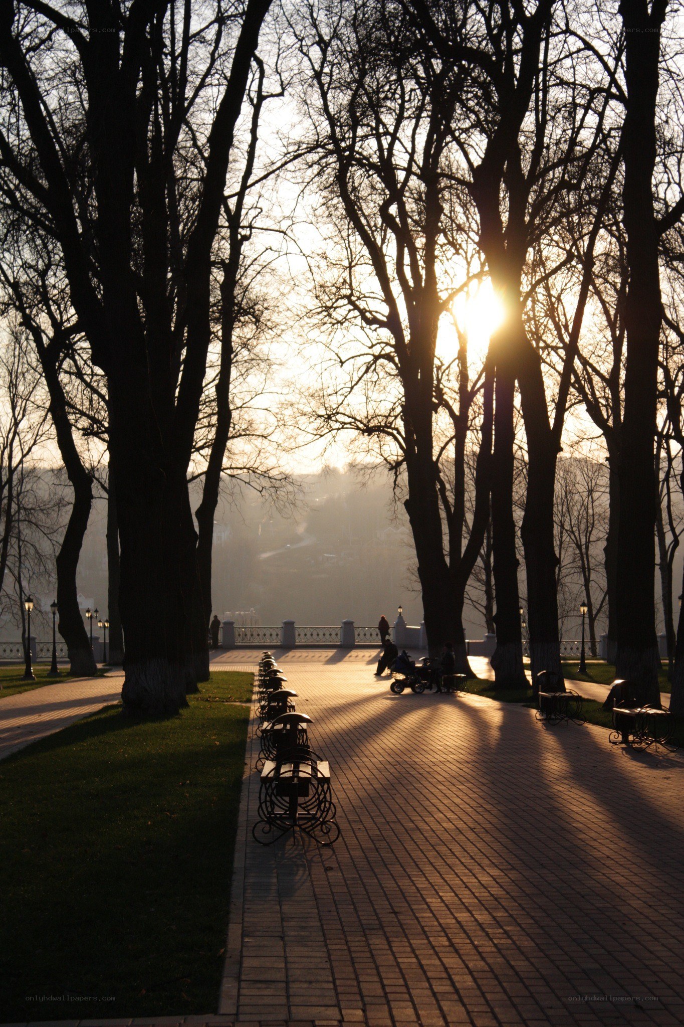 Sunset in a leafless park