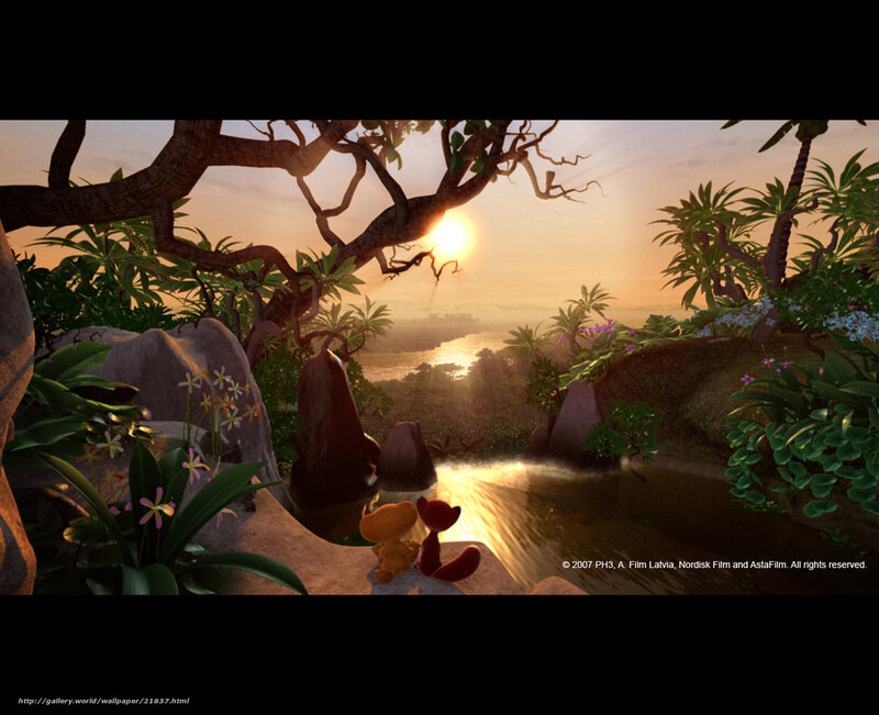 Sunset in a lush jungle