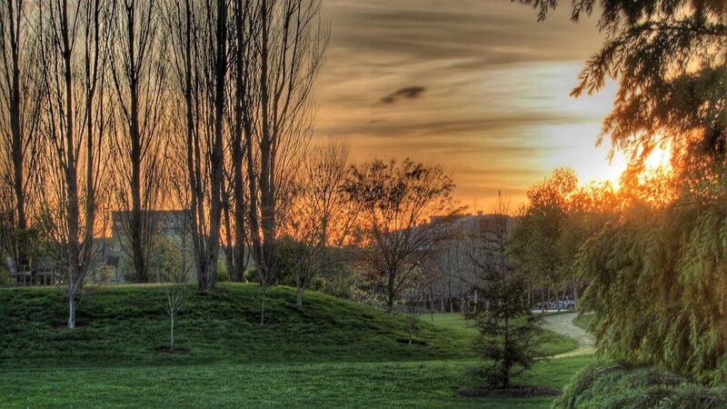 Sunset in a park