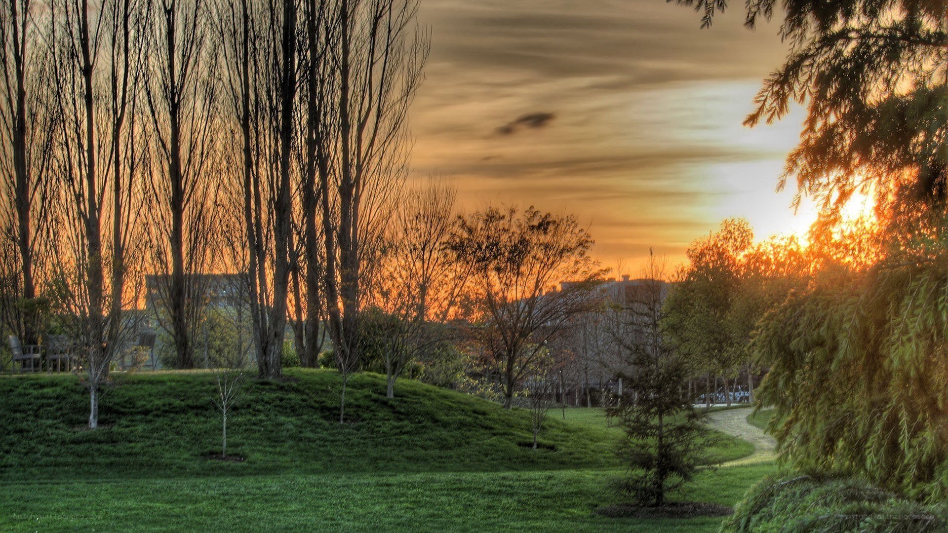 Sunset in a park
