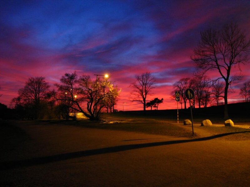 Sunset in a park at dusk