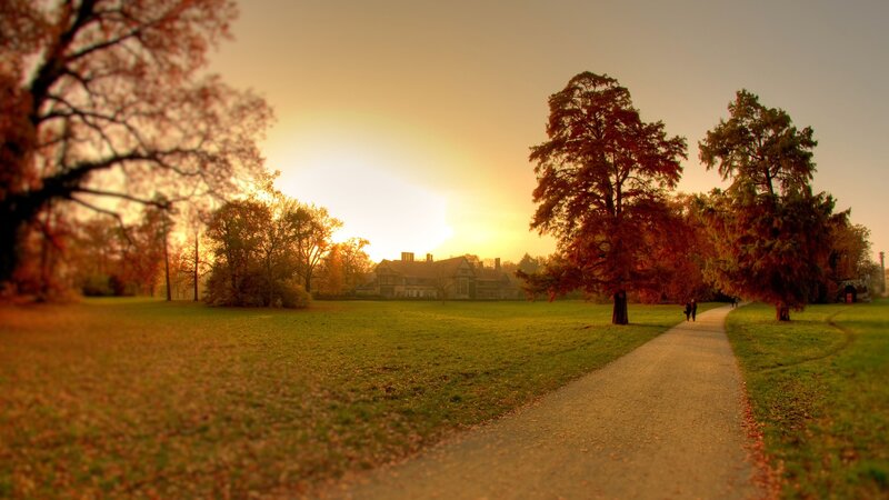 Sunset in a park with a path
