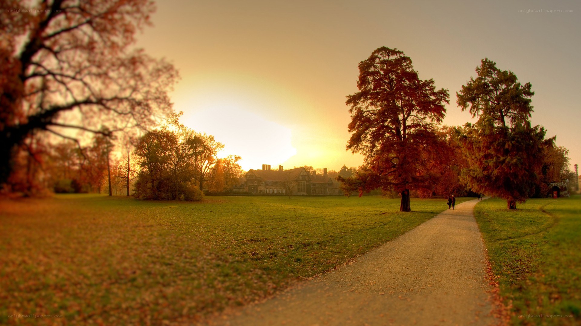 Sunset in a park with a path