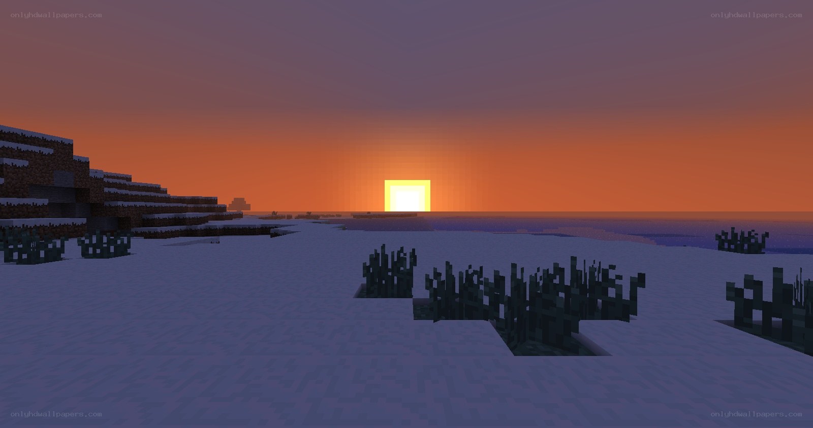 sunset in a snowy biome