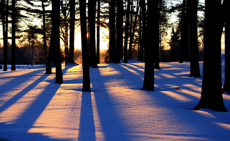 Sunset in a snowy forest