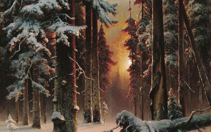 Sunset in a snowy forest