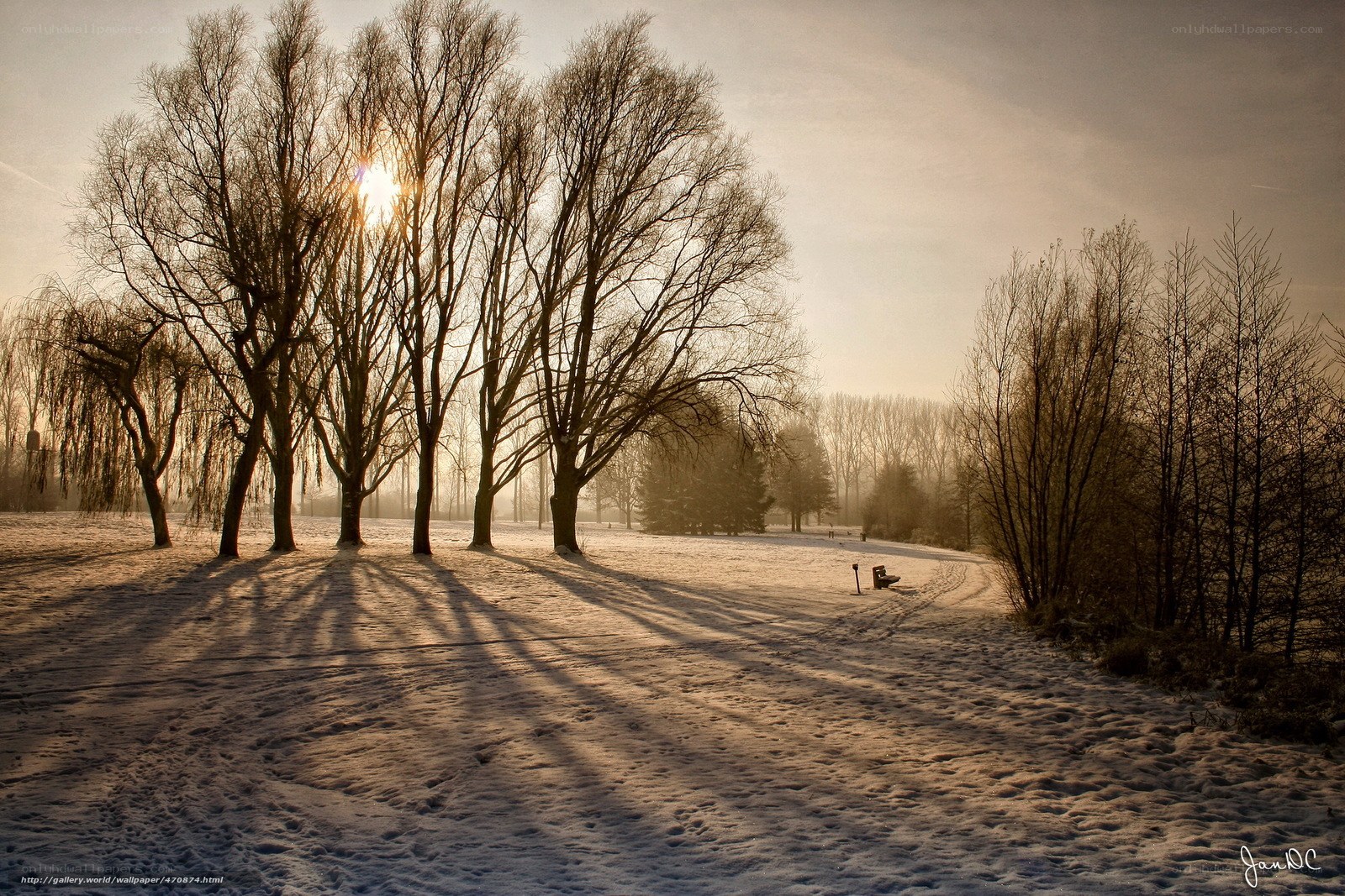 Sunset in a snowy park