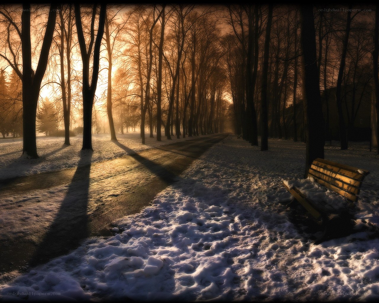 Sunset in a snowy park