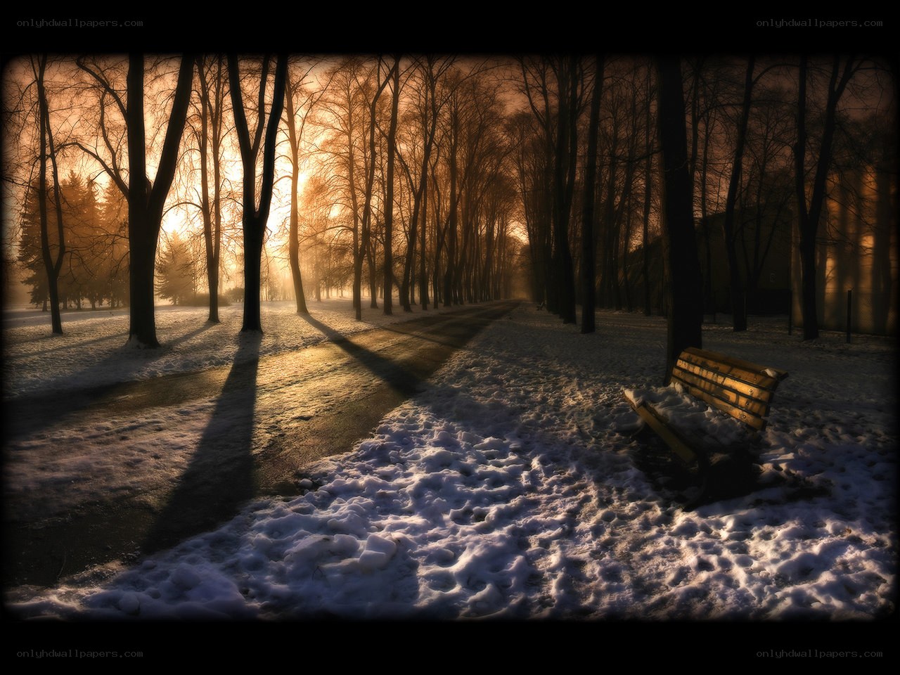 Sunset in a snowy park