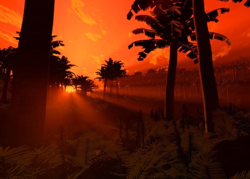 sunset in a tropical forest