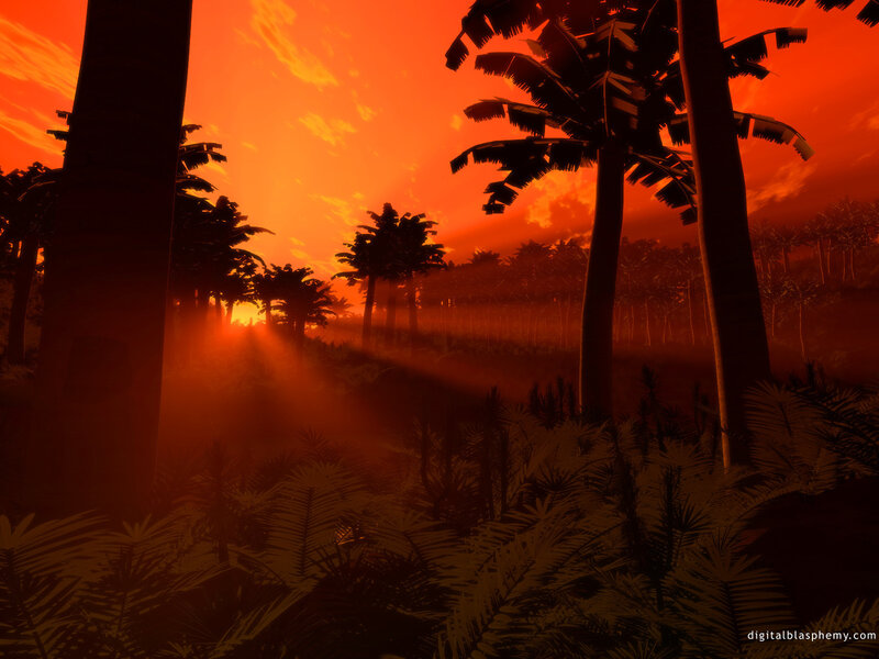 Sunset in a tropical forest