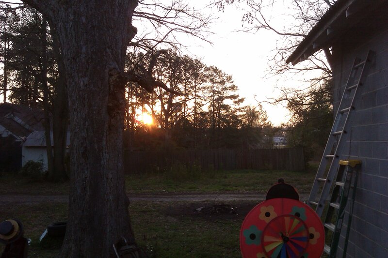 Sunset in Backyard