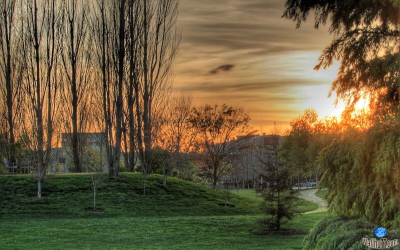 Sunset in Park — Green, Serene, Photograph