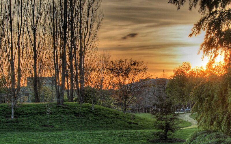 Sunset in Park — Orange