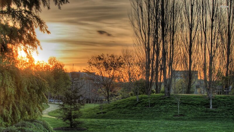 Sunset in Park