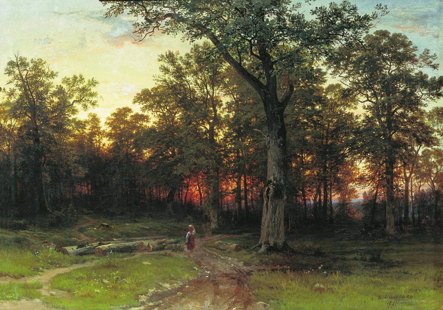 Sunset in the Forest