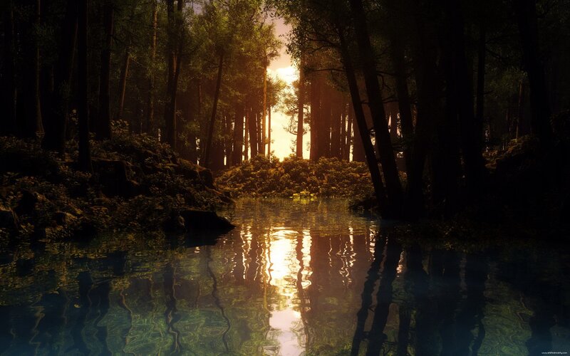 Sunset in the forest lake