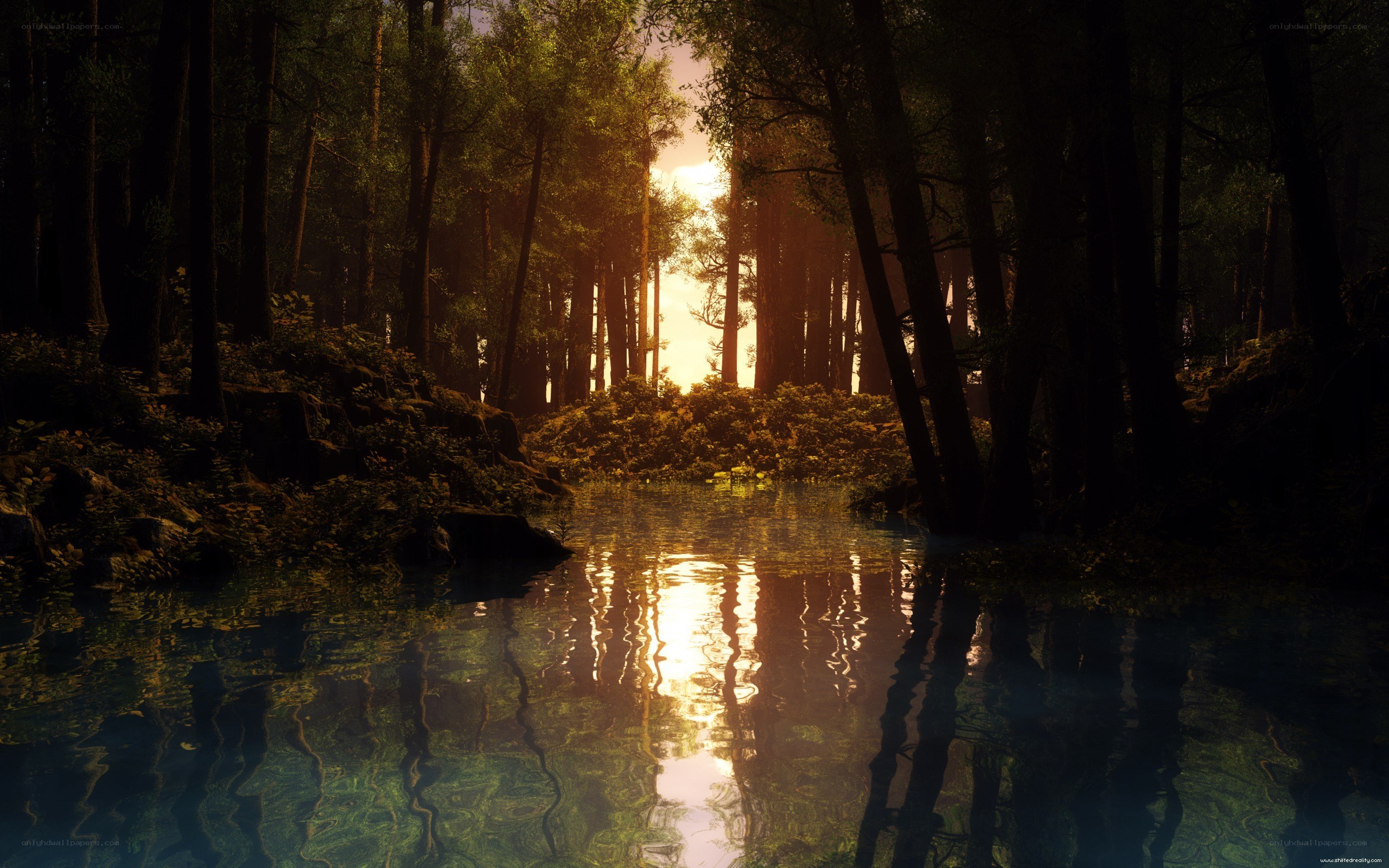 Sunset in the forest lake