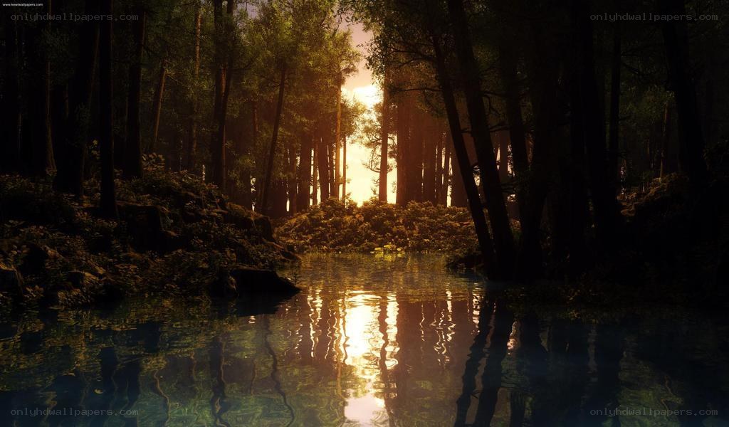 Sunset in the forest lake