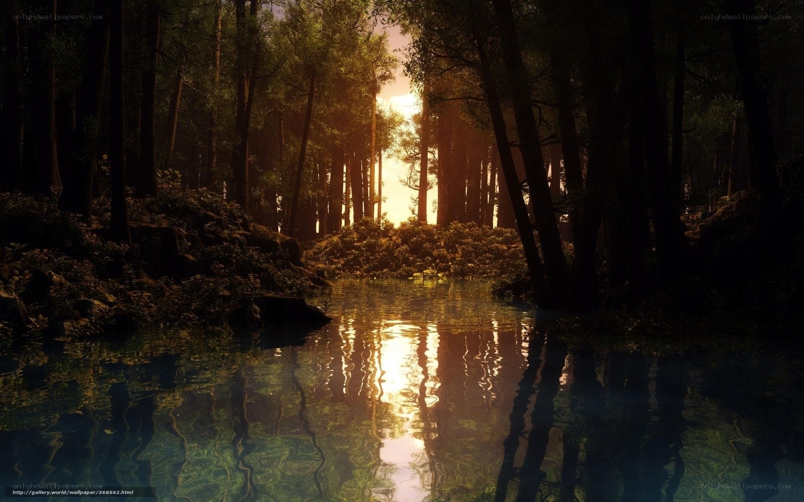 Sunset in the forest stream