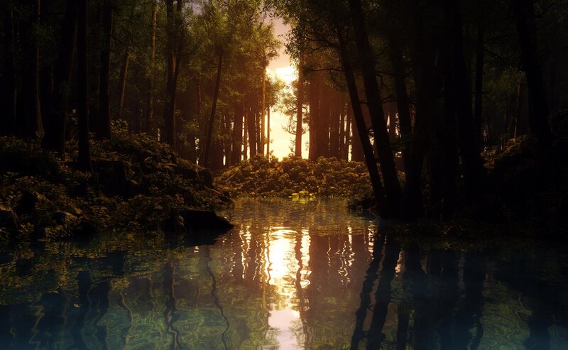 Sunset in the forest stream