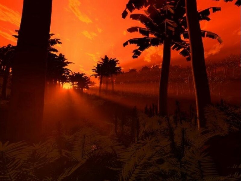 sunset in the jungle