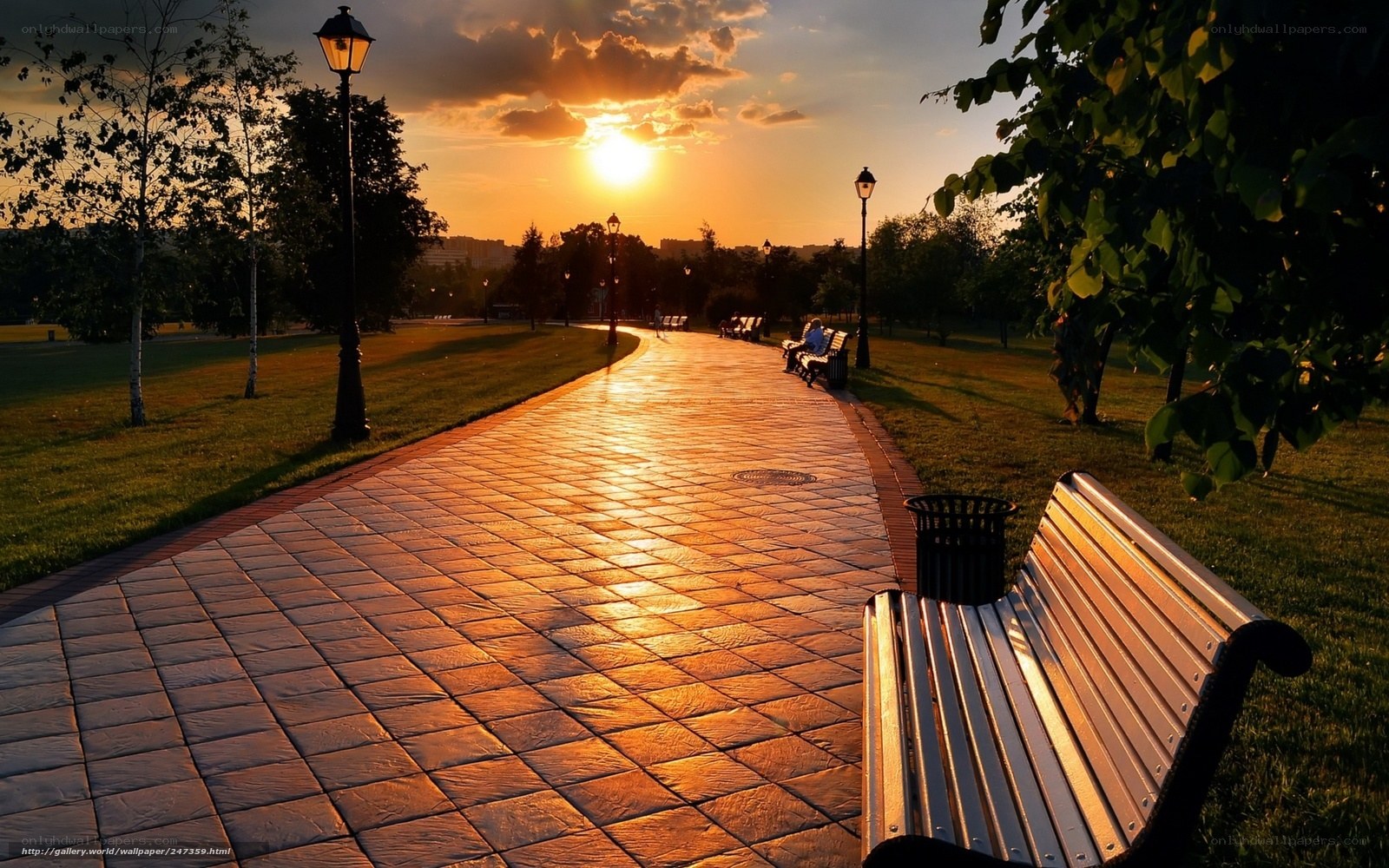 Sunset in the park