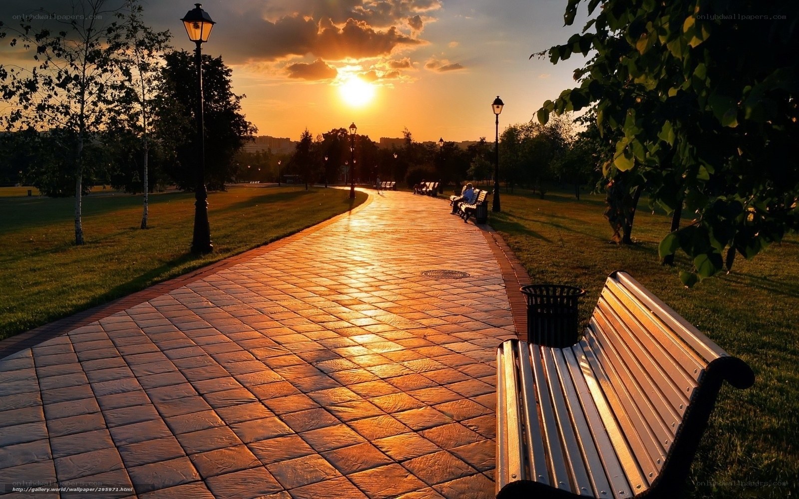 Sunset in the park