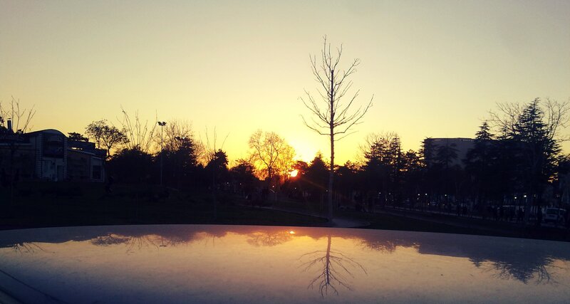 Sunset in the park