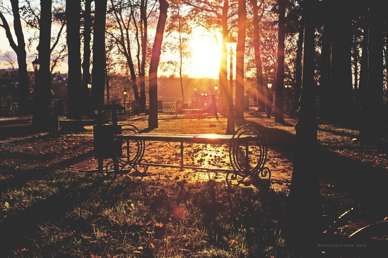Sunset in the park