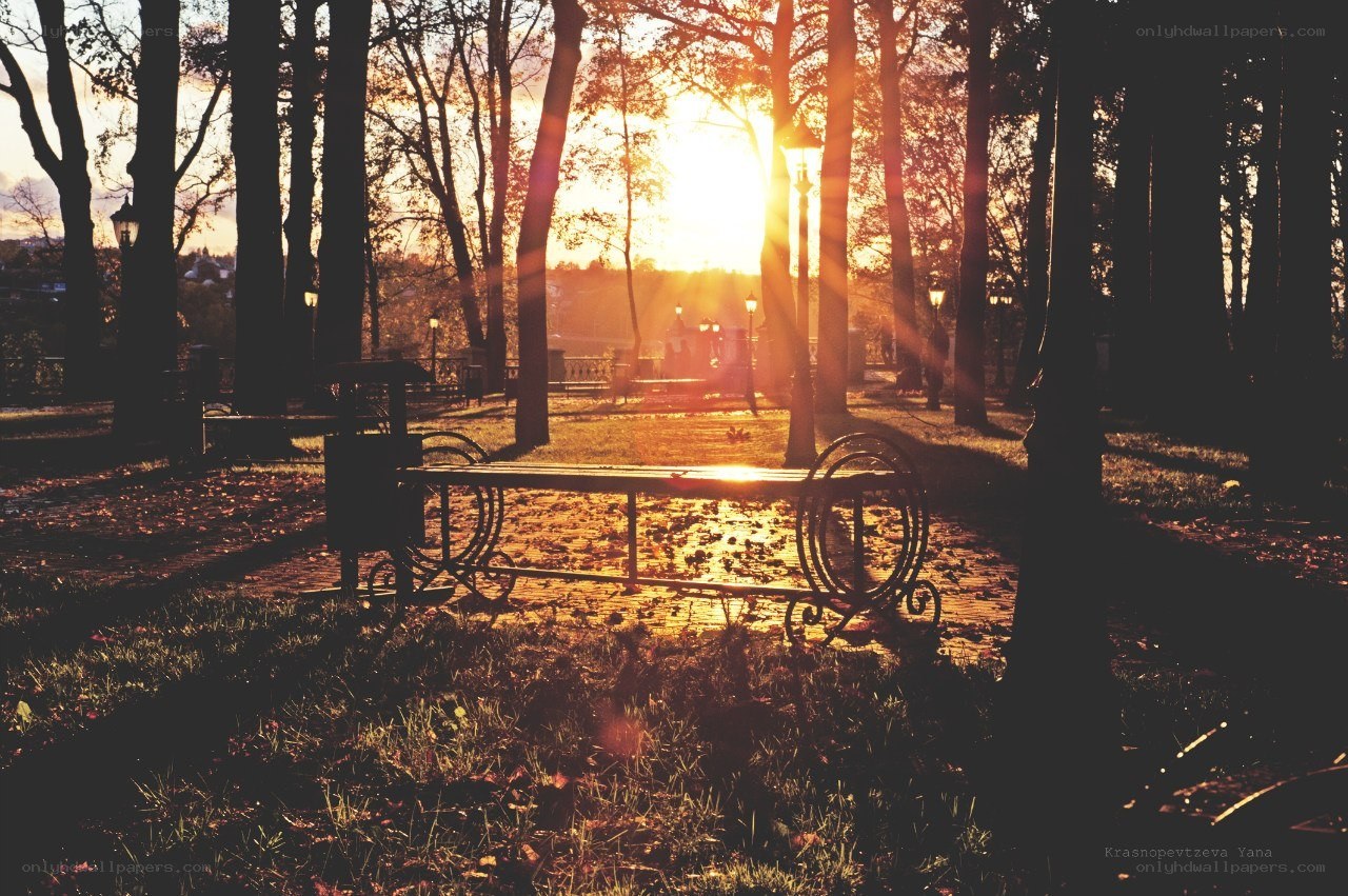 Sunset in the park